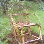 Living Willow Chair with Growth